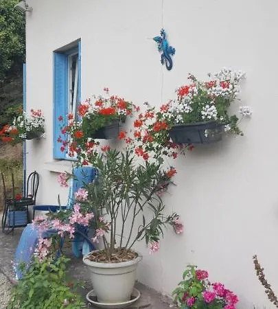 La Petite Maison Bleue Jugon-les-Lacs Exterior foto